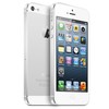 Apple iPhone 5 64Gb white - Кущёвская